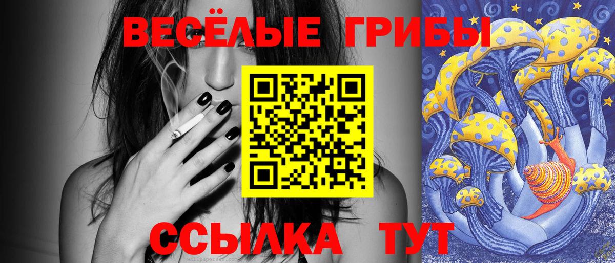 Прокопьевск  Галлюциногенные грибы Psilocybe  Вход с VPN 