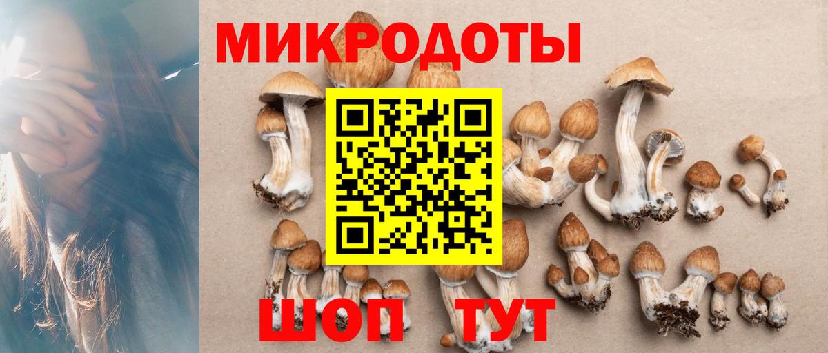 Галлюциногенные грибы Psilocybe Прокопьевск